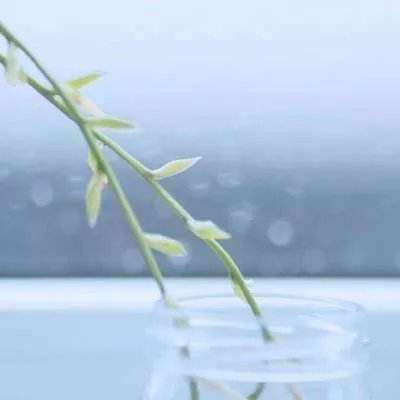 狂奔三国变态版下载
